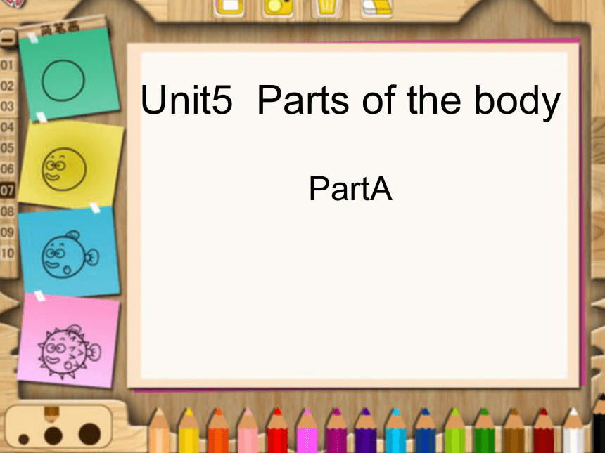 Unit 5 Parts of the body PA 课件