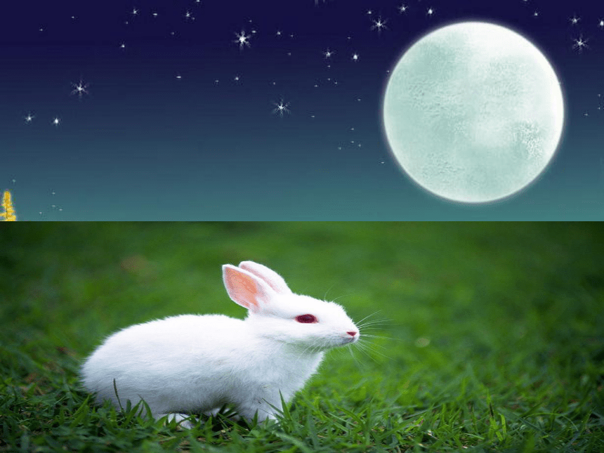 白兔和月亮