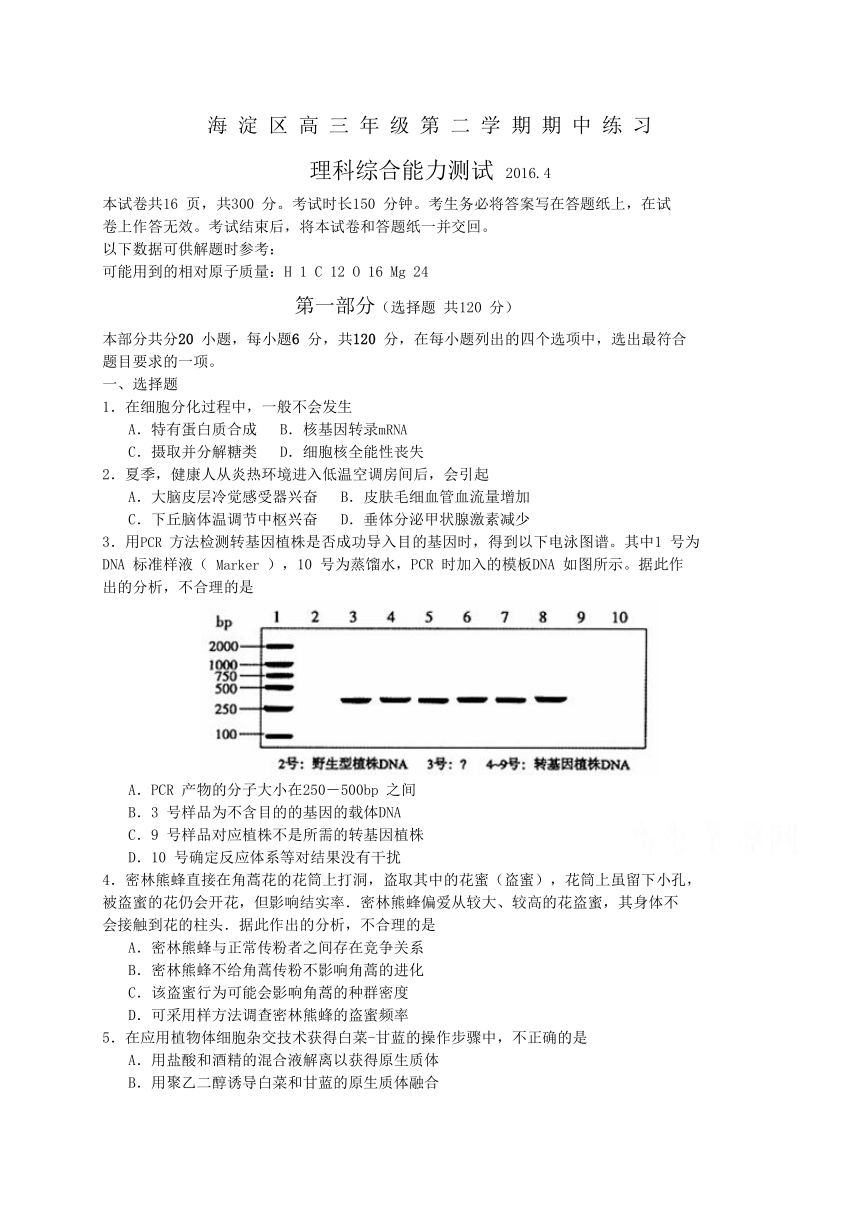 北京市海淀区2016届高三下学期期中练习（一模）理科综合试题 Word版含答案