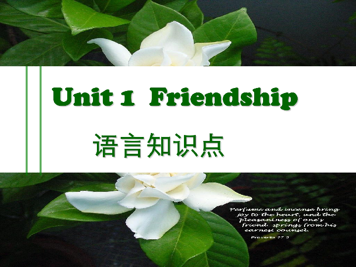 人教版高中英语必修1 Unit 1 Friendship language points知识点课件（共19张PPT）