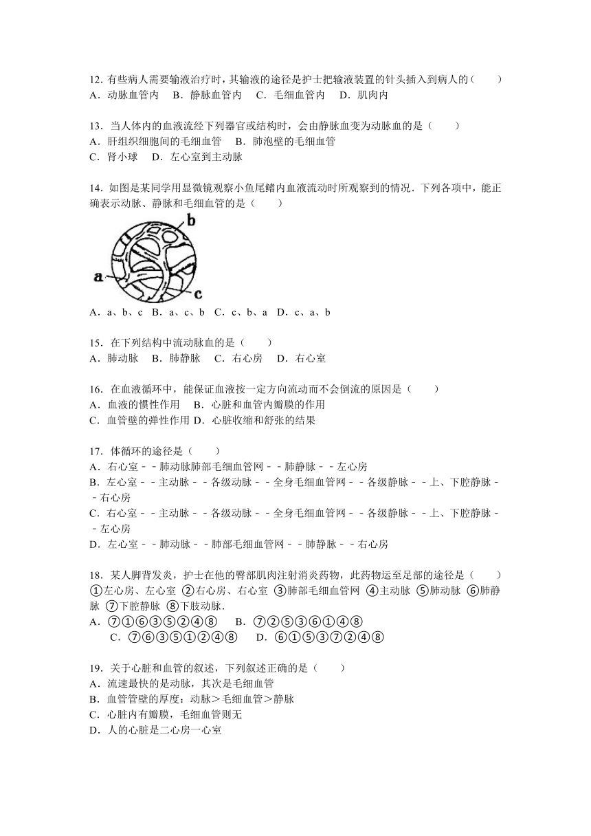 2015-2016学年山东省淄博市沂源四中八年级（上）月考生物试卷（12月份）（解析版）