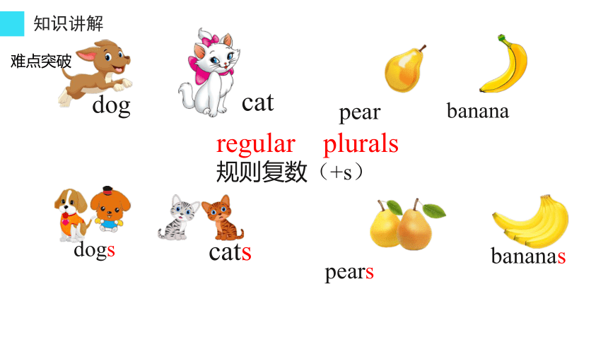 unit5lesson29thepluralsofnouns名词复数课件共26张ppt