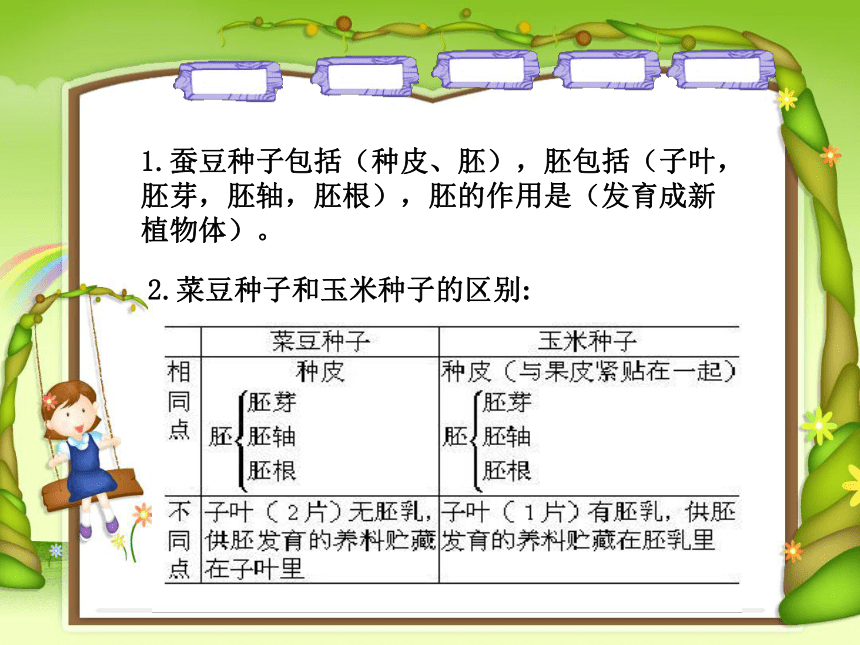 小学科学  粤教粤科版  四年级上册（广东）  第1单元 植物的身体  7 植物的种子