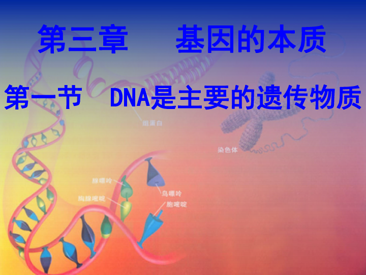 人教版生物必修二第3章第1节 DNA是主要的遗传物质（共23张PPT）