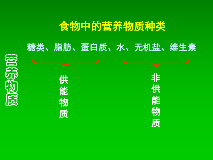 消化腺是外分泌腺还是内分泌腺_最大的消化腺是什么_消化腺是器官吗