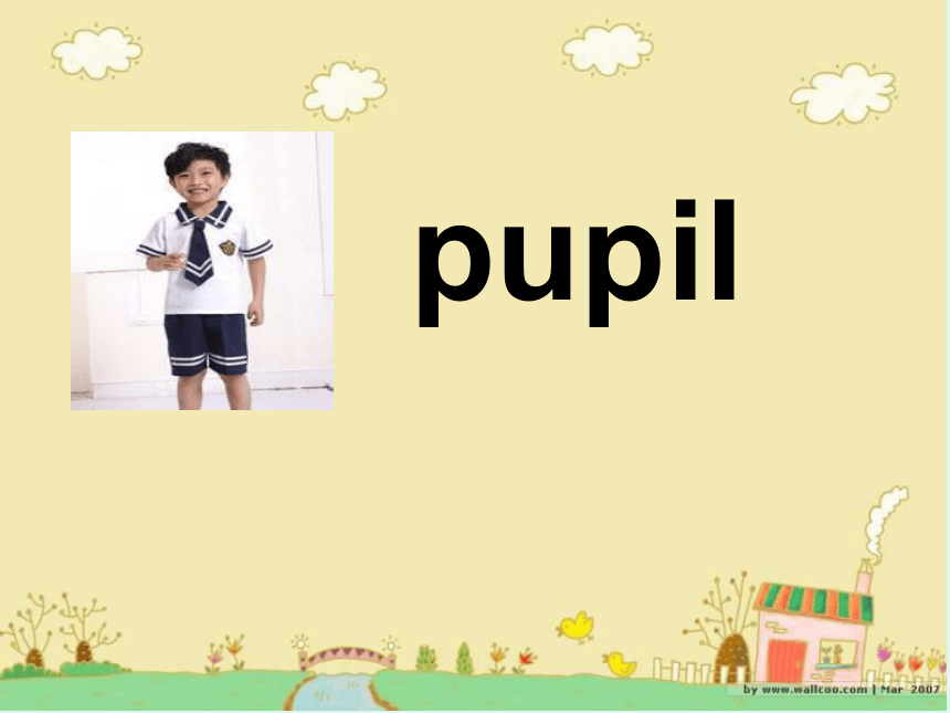 Lesson 3  I  am a  pupil. 课件