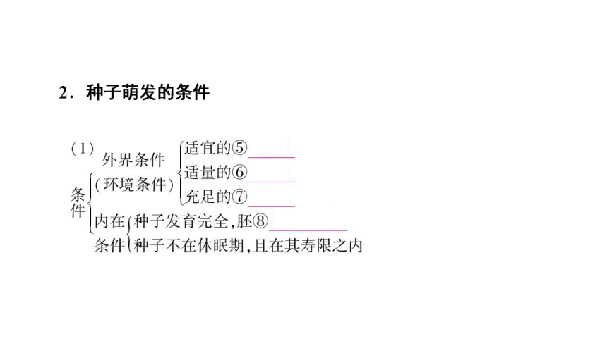 2021年中考廣西專用生物冀教版考點複習第3單元第1章種子的萌發和芽的