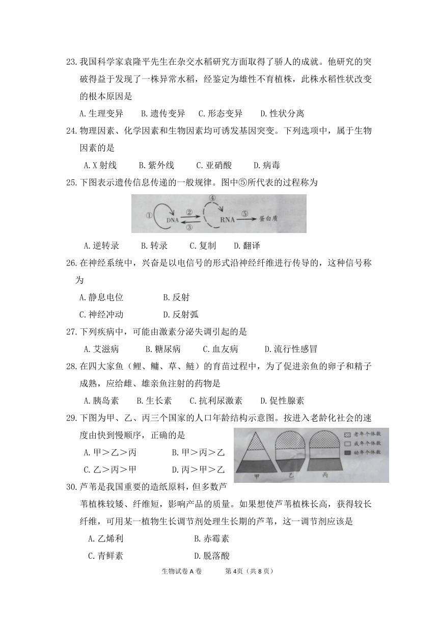 2010年6月广东省普通高中学业水平考试生物试卷及答案