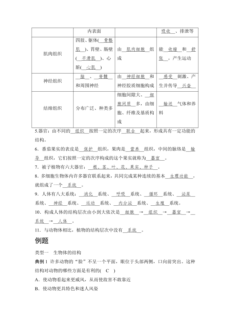 华师大版科学七年级上 第4章生物体的结构层次复习（word版有答案）