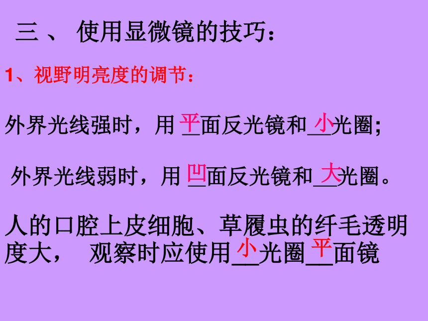 2.1细胞是生命活动的基本单位 复习课件（30张PPT）