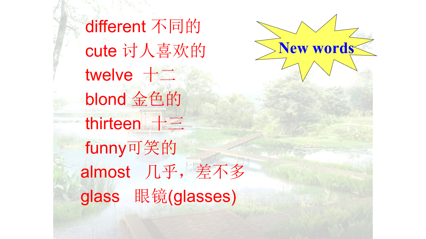 Unit 3 Body Parts and Feelings  Lesson 18 We All Look Different! 课件(21张PPT)