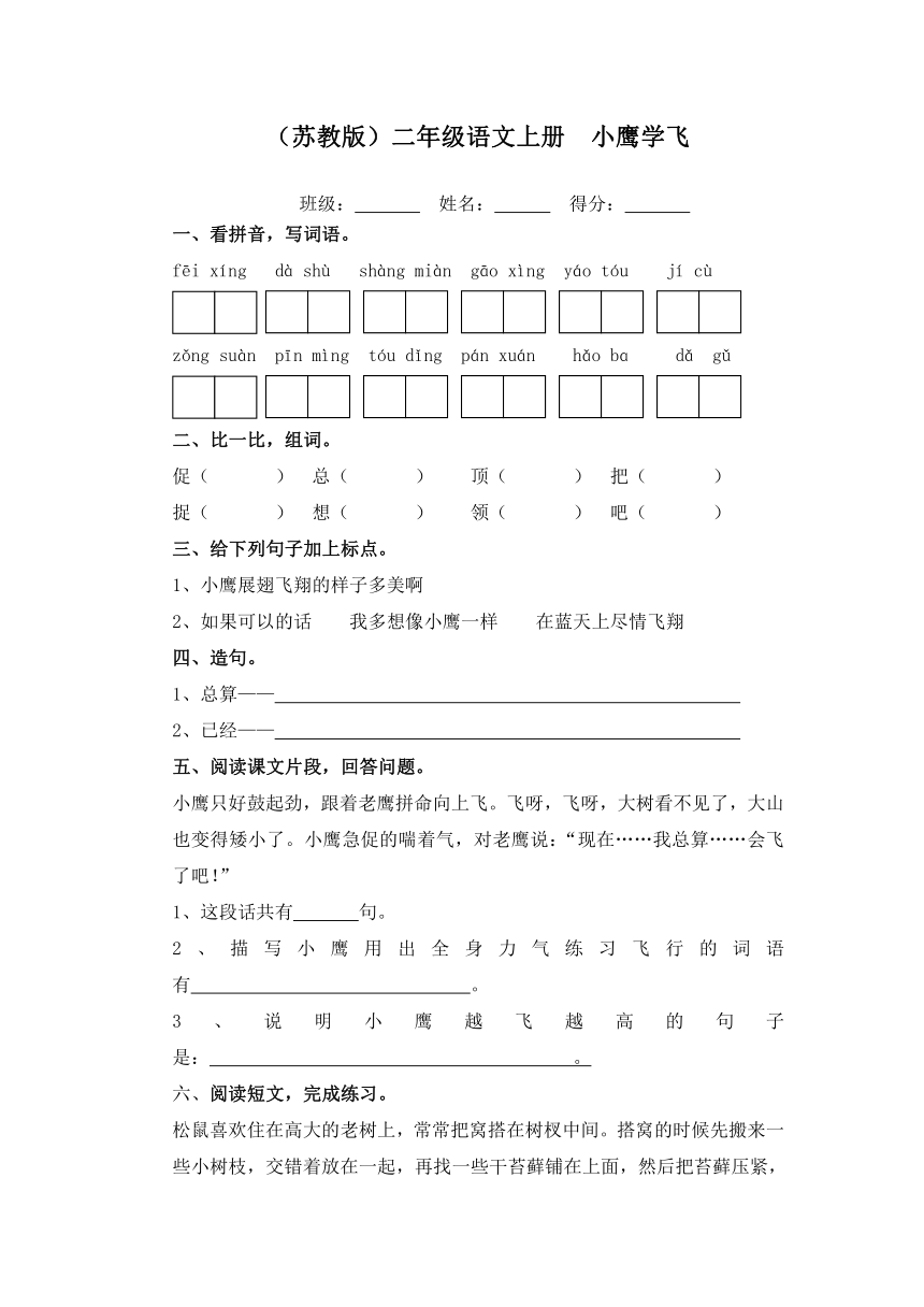 （苏教版）二年级语文上册  小鹰学飞