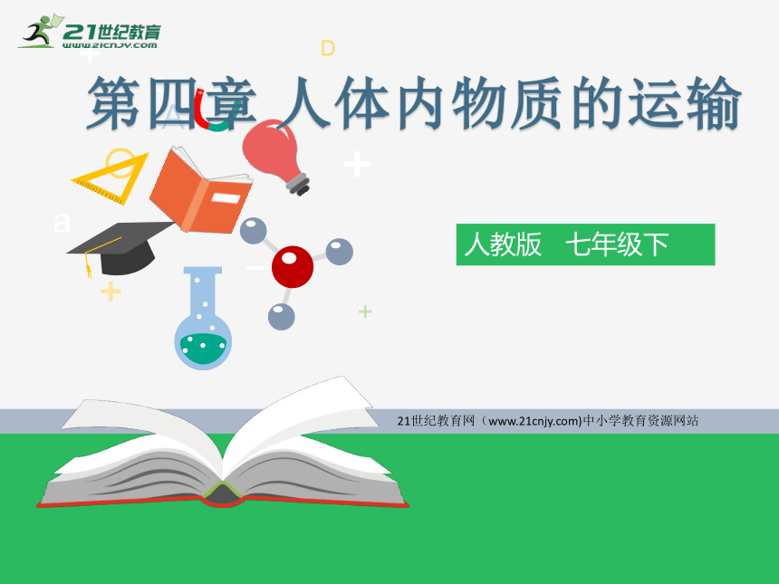 2018年广东省生物会考七年级下册复习课件 第四章（课件）