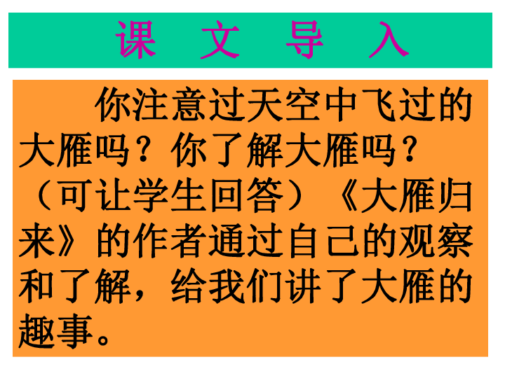 7大雁歸來課件39張ppt