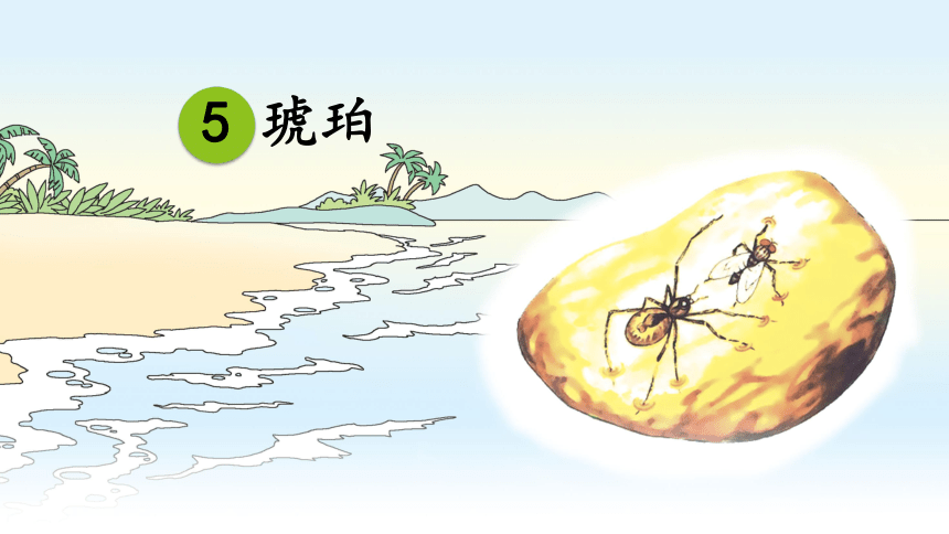 课件预览
