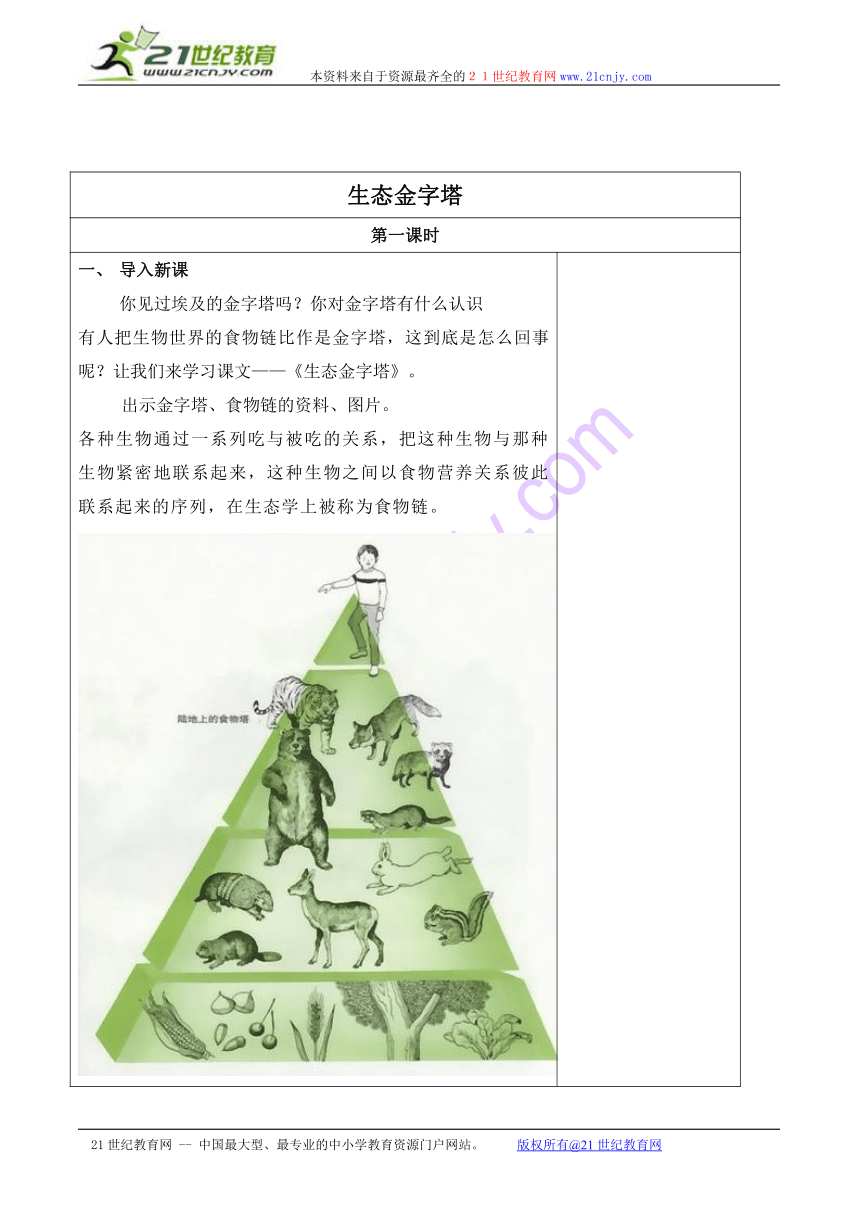 五年级语文上册教案 生态金字塔 1（湘教版）
