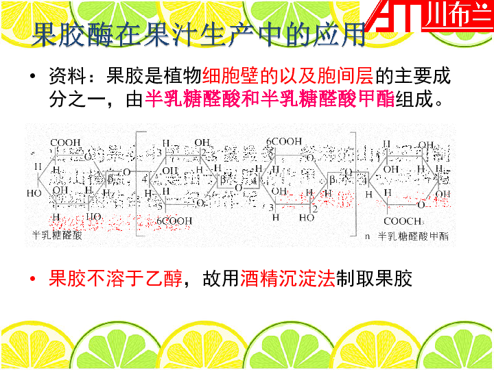 果胶酶在果汁生产中的应用实验课件（14张PPT）.ppt