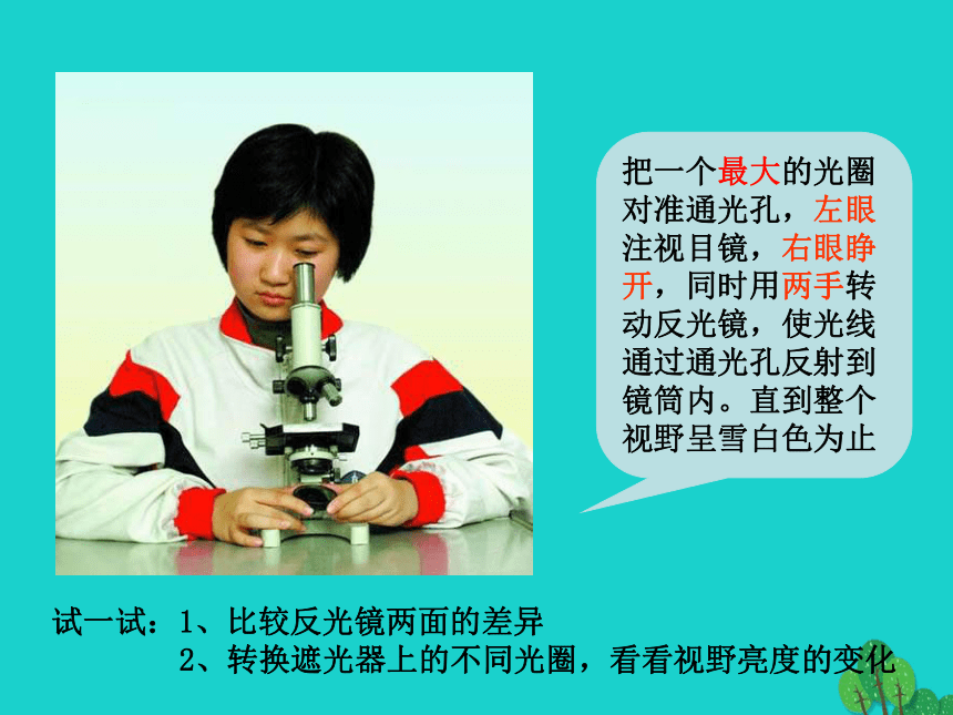 六年级科学上册水滴里的生物课件苏教版