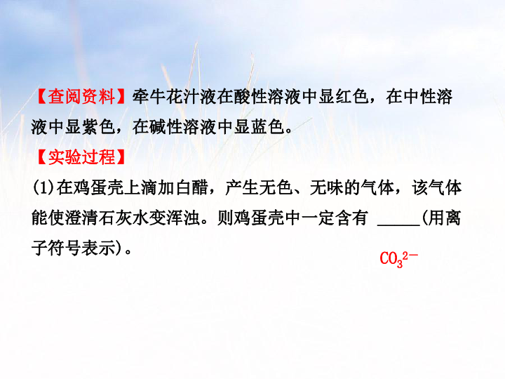 2019年浙江省中考科学复习（课件49PPT+练习）：酸和碱