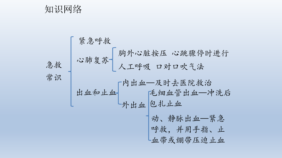 鲁教版（五四学制）生物七年级下册：5.2 用药和急救  复习课件（共39张PPT）