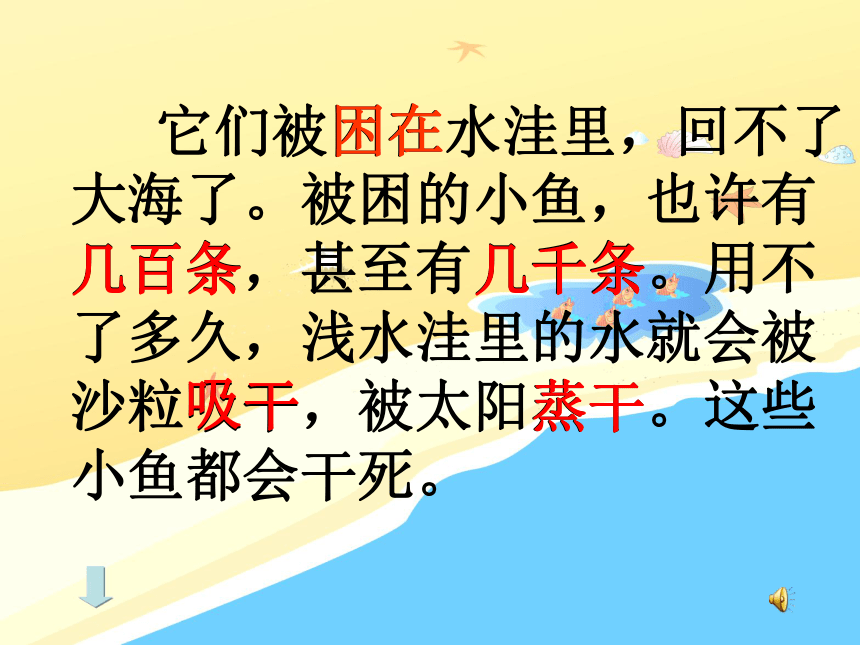 28《浅水洼里的小鱼》课件（42张）