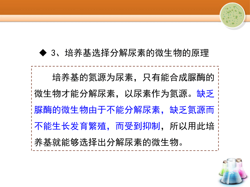 苏教版高中生物选修一1.2《分离特定的微生物并测定其数量》实验课件 （共29张PPT）