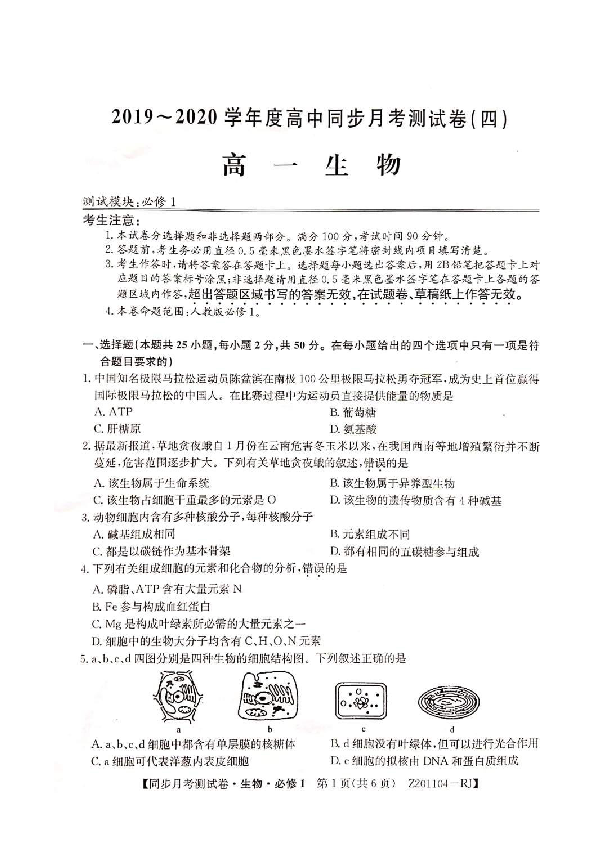 山西省豪洋中学2019-2020学年高一上学期第四次月考生物试题 扫描版（答案带解析）