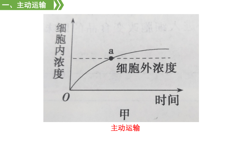 2 主动运输与胞吞,胞吐 课件(51张ppt)