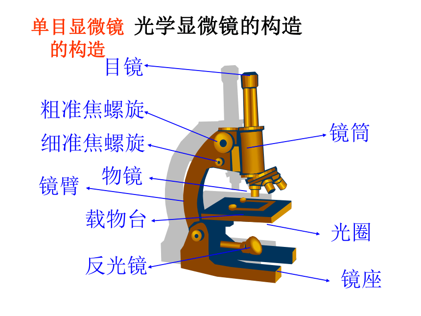 2021年高中生物实验专题课件(112张PPT）