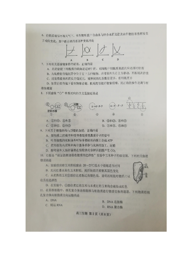 山东省五莲县2020届 高三上学期 模块诊断性检测生物试题 扫描版含答案