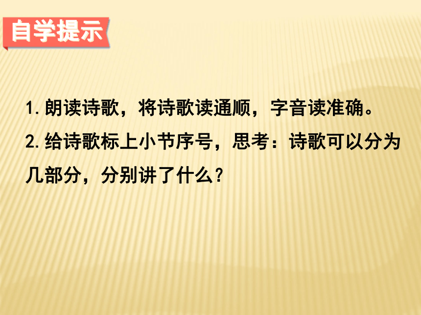 大自然的语言课件  (共20张PPT)