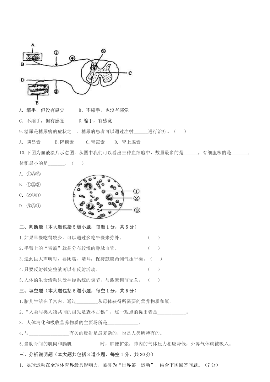 甘肃省平凉崆峒区2016-2017学年七年级上学期期末生物试卷