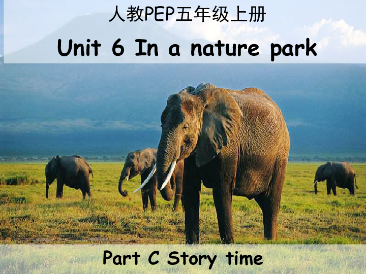 Unit 6 In a nature park PC Story time 课件（27张PPT）