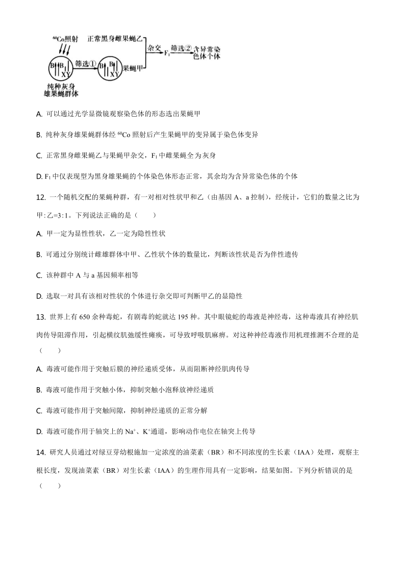 山东省新高考质量测评联盟2021届高三上学期12月联合调研监测生物试题 Word版含答案