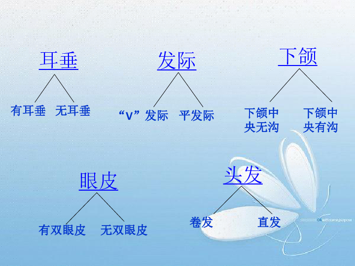 六年级上册科学课件-4.5 相貌各异的我们教科版 (共33张PPT)