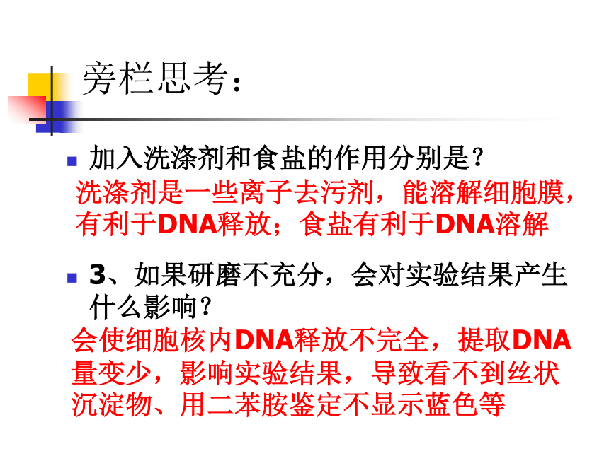 人教版高中生物选修1 专题5     DNA和蛋白质技术《DNA的粗提取和分离》课件 （共25张PPT）