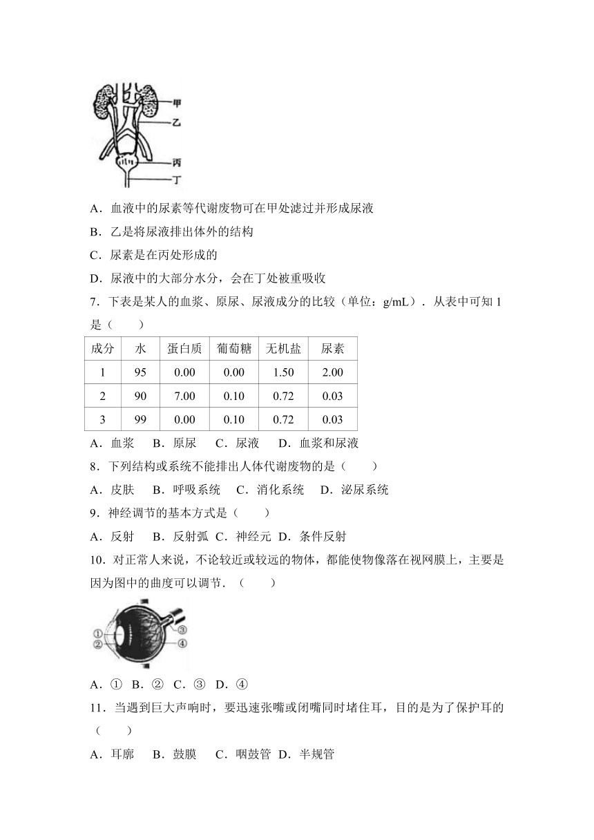 江苏省苏州市太仓市2016-2017学年八年级（上）期末生物试卷（解析版）