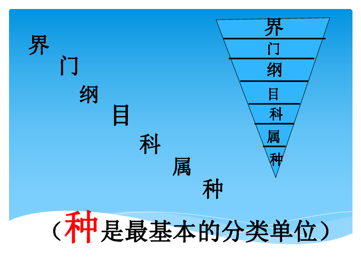 人教版八年级生物上册6.1.2从种到界课件（23张PPT）