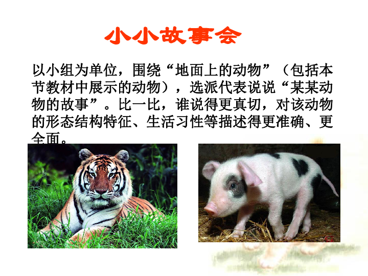 苏科版七下生物  11.2 地面上的动物 课件（27张PPT）