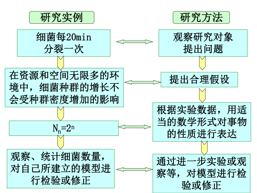 2020-2021学年高二生物人教版必修三4.2种群数量的变化课件(21张)