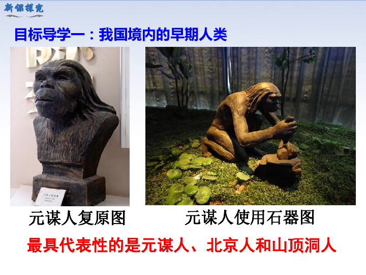 人教版历史七年级上册第1课中国境内早期人类的代表——北京人 课件(共29张PPT)