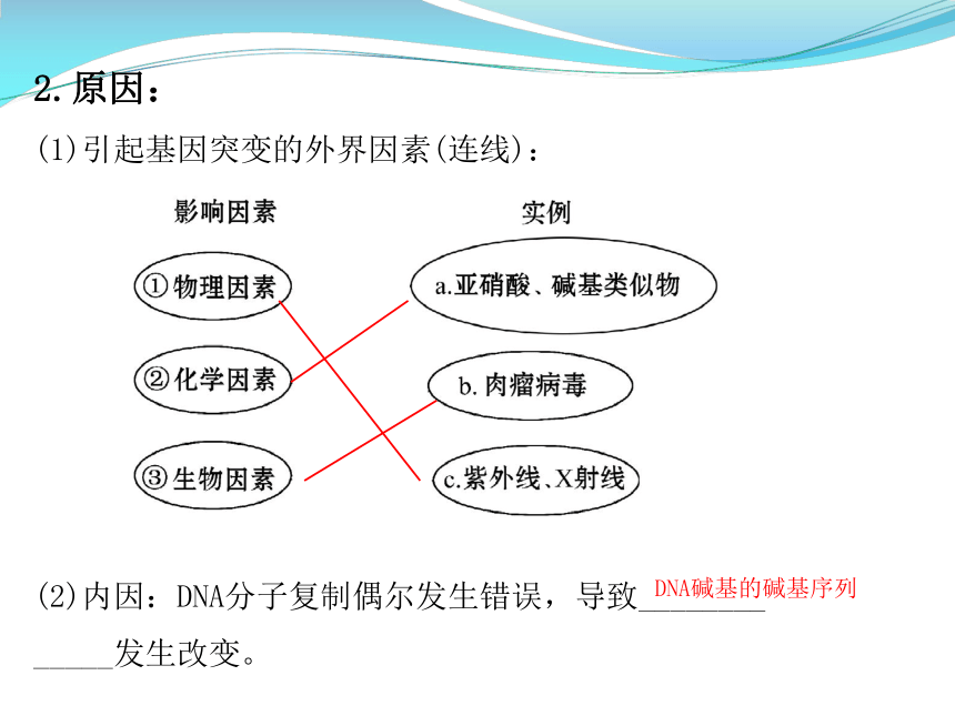 什么是基因突变  第1张