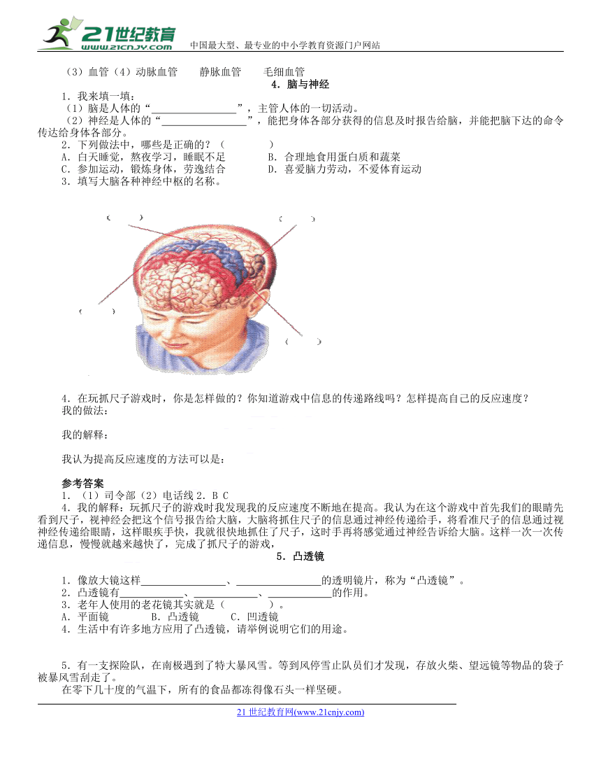 科学五年级下青岛版全册各节练习题（含答案）