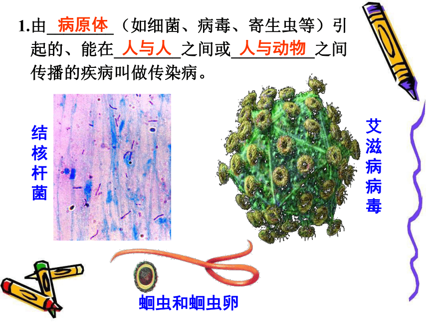 人教版八年级生物下册第八单元第一章第一节  传染病及其预防课件（共21张PP）