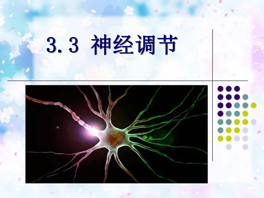 浙教版科学八年级上册 3.3 神经调节 课件（共22张ppt）