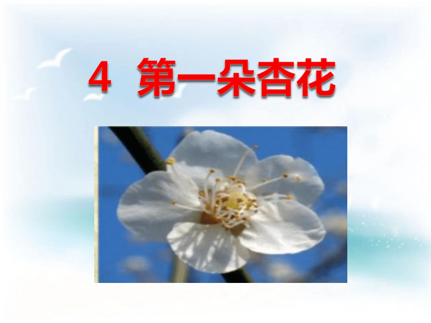 4.第一朵杏花教学课件