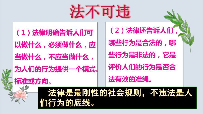 5.1法不可违课件（22张ppt)