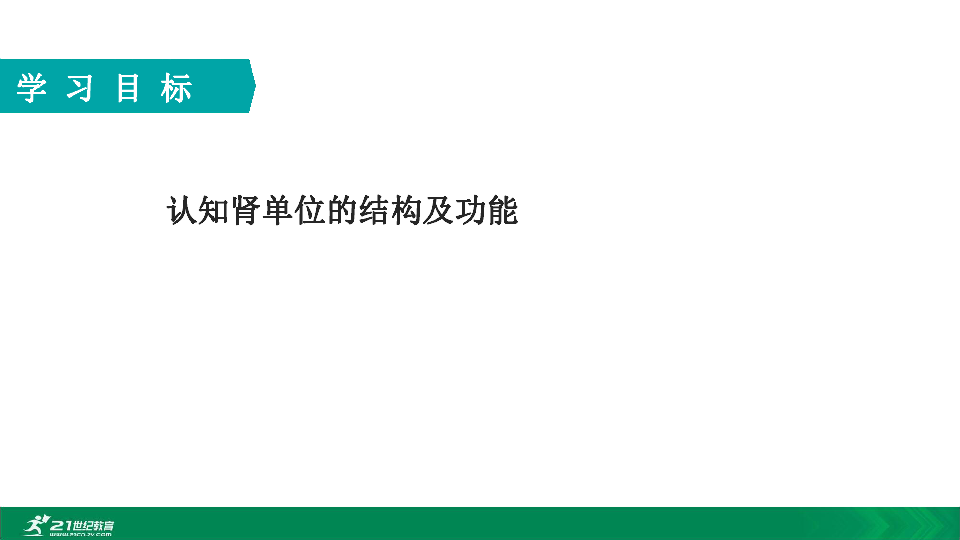 2020年春人教七下生物第五章肾单位的结构及功能 教学课件