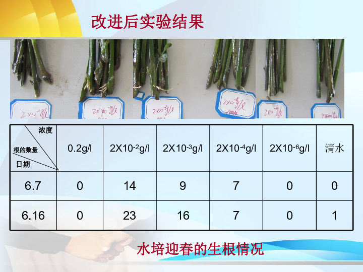 浙江省2010年高中生物疑难问题解决专题生长素的系列实验探究