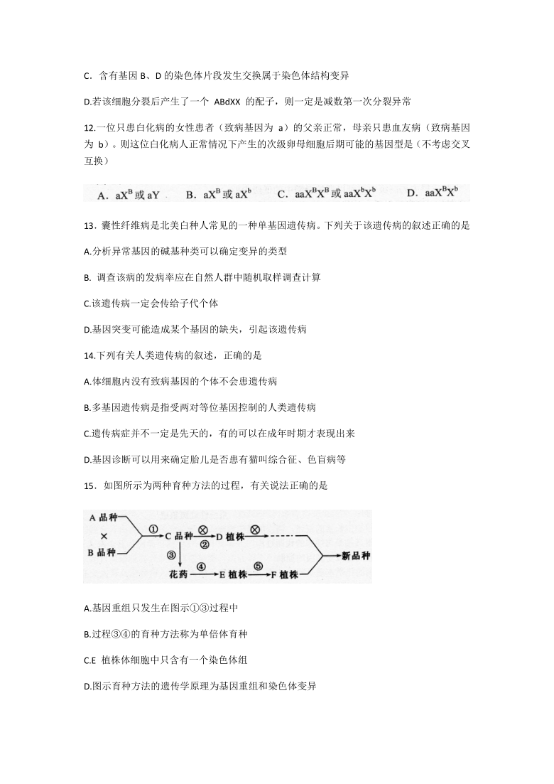 北京师范大学广安实验学校2020-2021学年高二上学期12月考试生物试卷     （含答案）